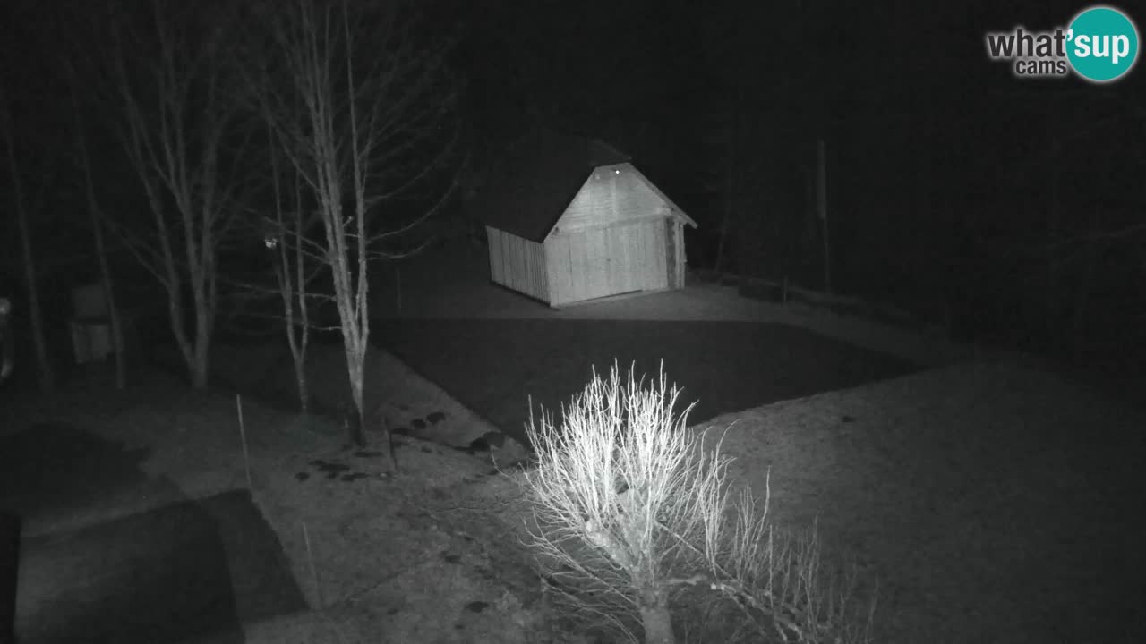 Webcam Lukanja – Water Village | Pohorje Houses