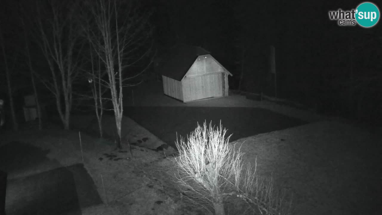 Webcam Lukanja – Water Village | Pohorje Houses