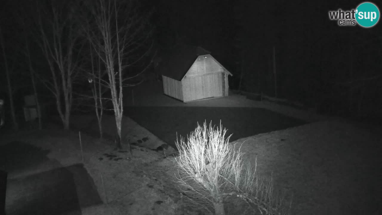 Webcam Lukanja – Water Village | Pohorje Houses