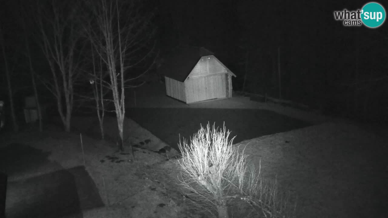 Webcam Lukanja – Pohorje houses a Water village