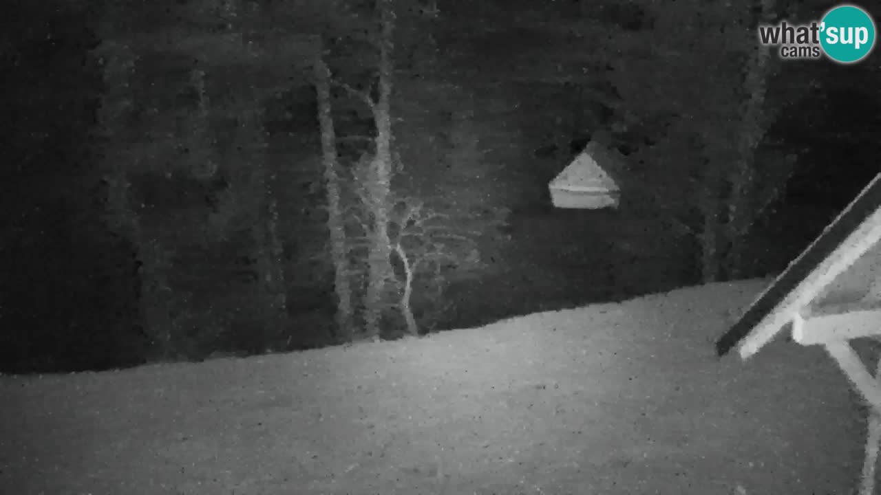 Webcam Lukanja – Pohorje houses a Water village