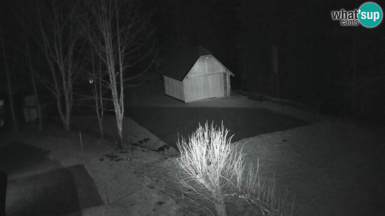 Webcam Lukanja – Pohorje houses a Water village