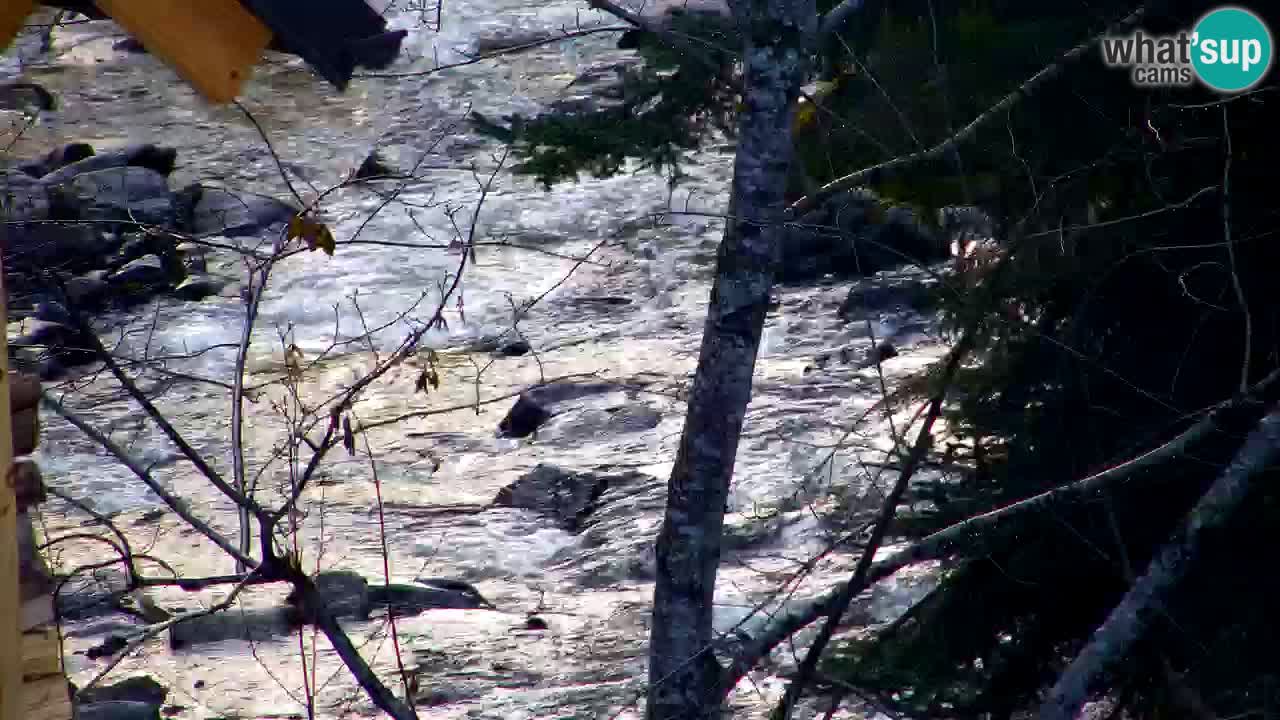 Webcam Lukanja – Water Village | Pohorje Houses