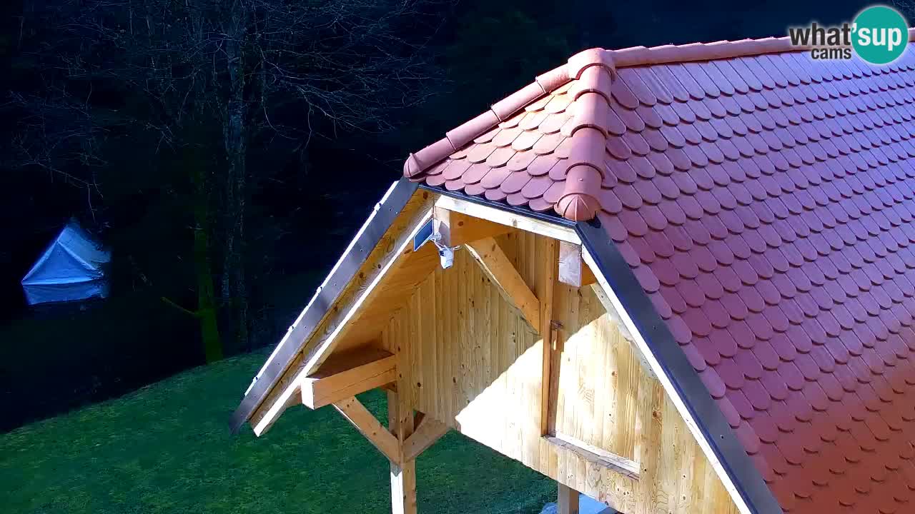 Webcam Lukanja – Water Village | Pohorje Houses