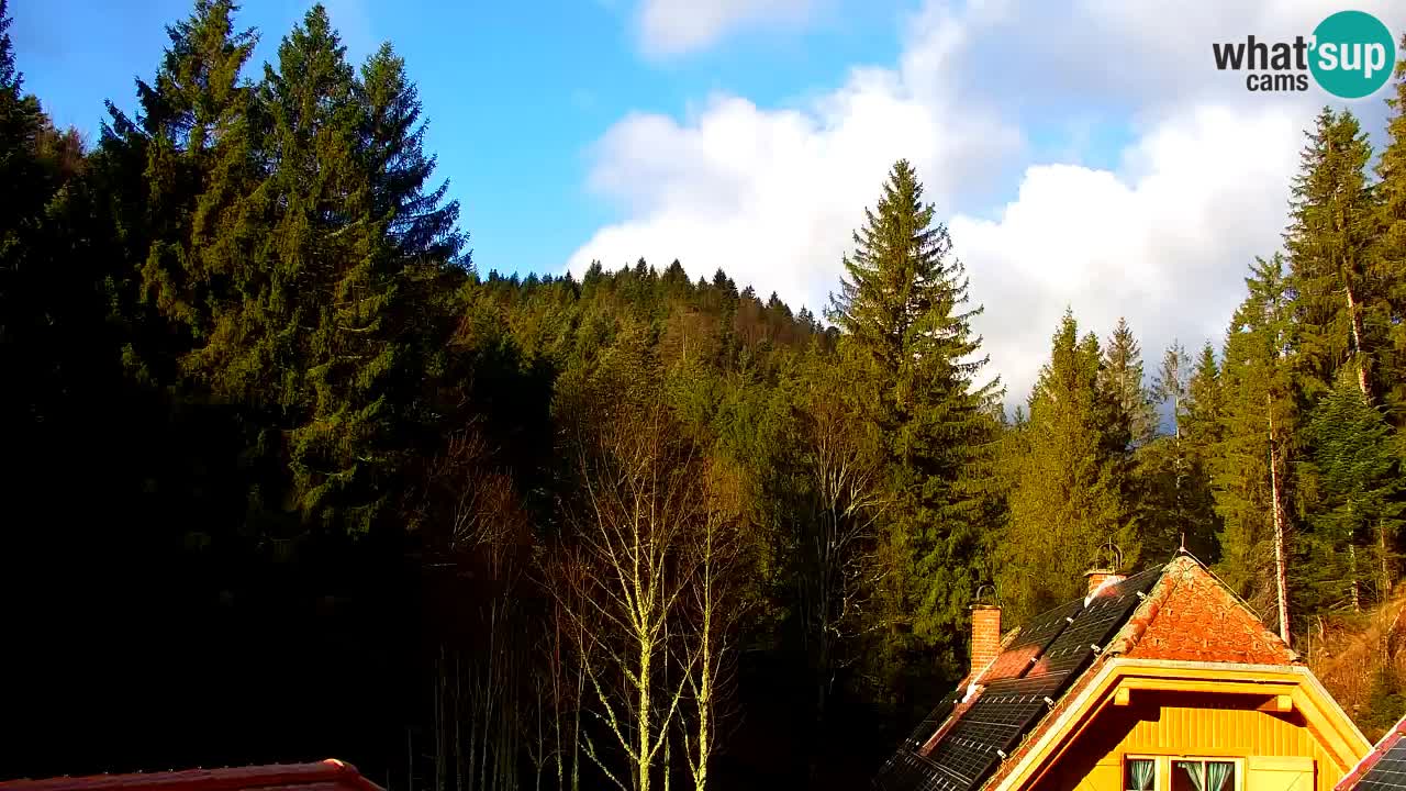 Webcam Lukanja – Water Village | Pohorje Houses