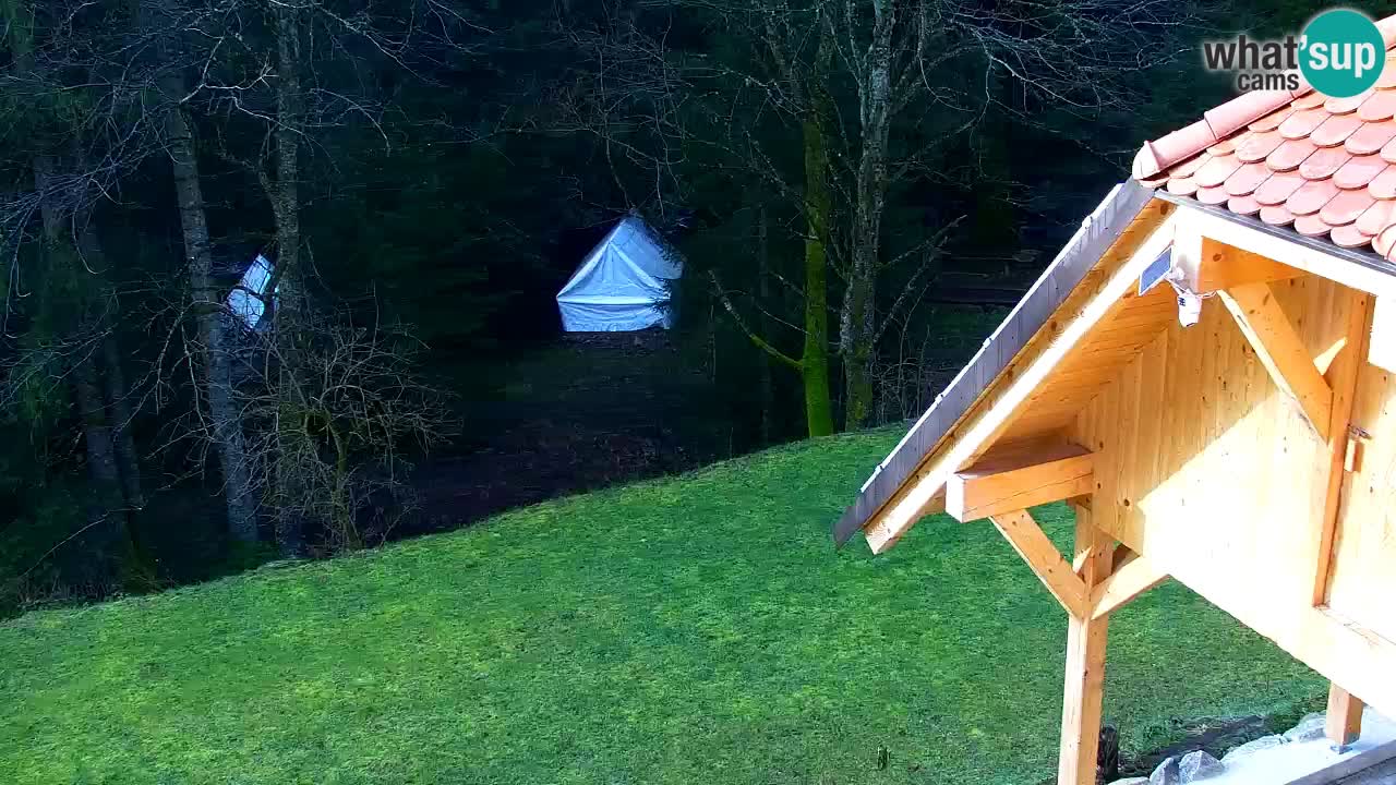 Webcam Lukanja – Pohorje houses a Water village