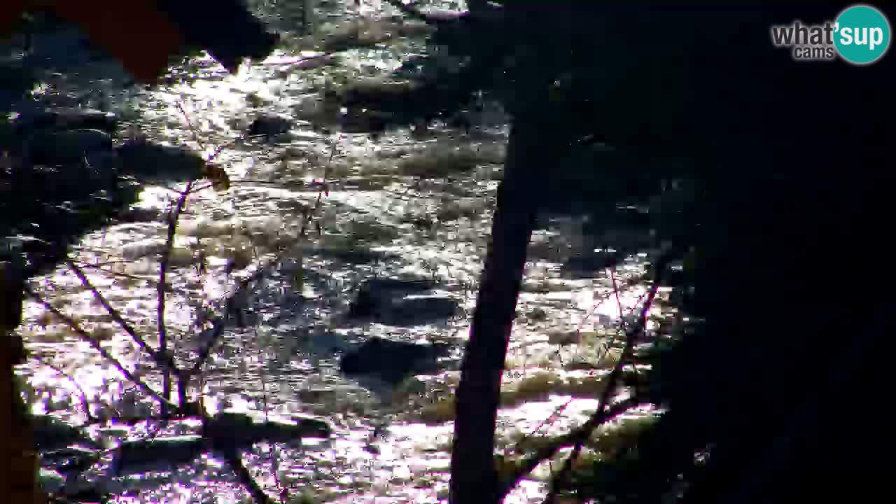 Webcam Lukanja – Pohorje houses a Water village