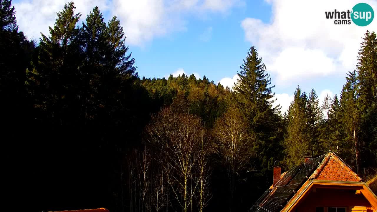 Spletna kamera Lukanja – Water Village | Pohorje Houses