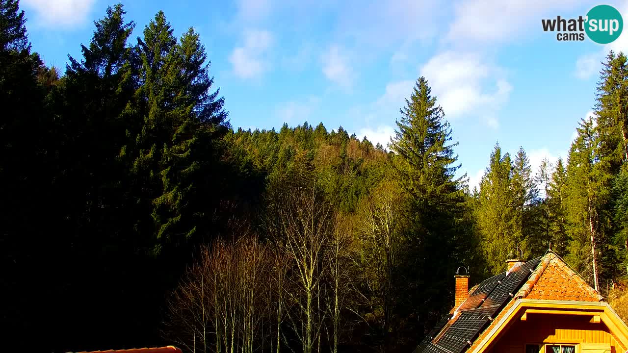 Webcam Lukanja – Water Village | Pohorje Houses