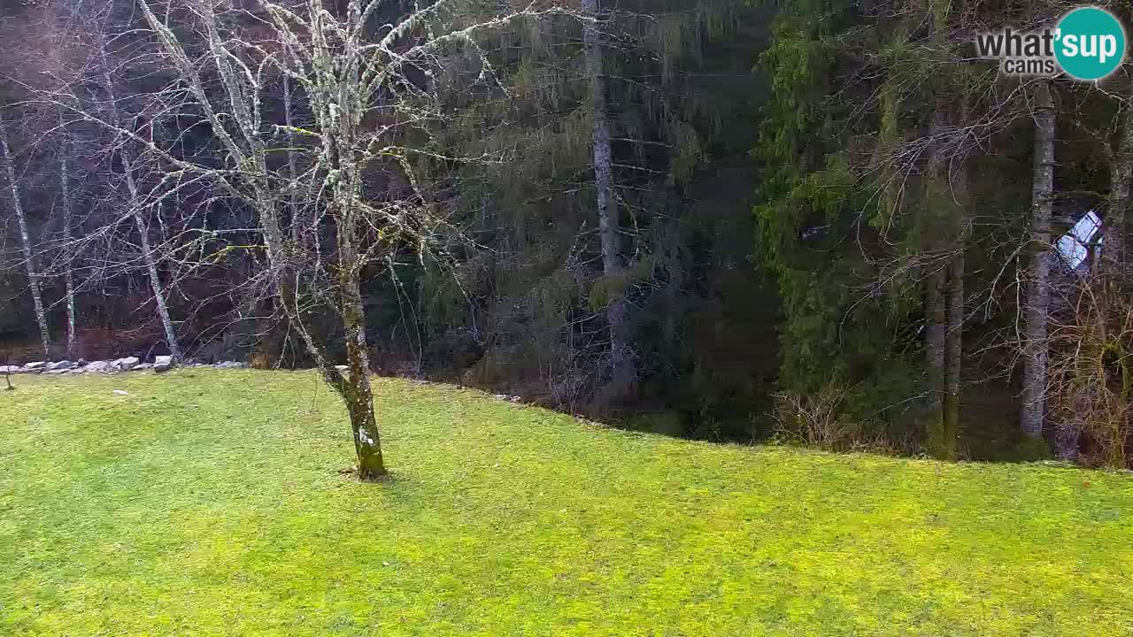 Webcam Lukanja – Water Village | Pohorje Houses