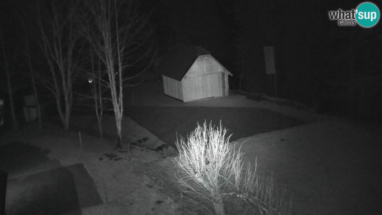 Webcam Lukanja – Pohorje houses a Water village