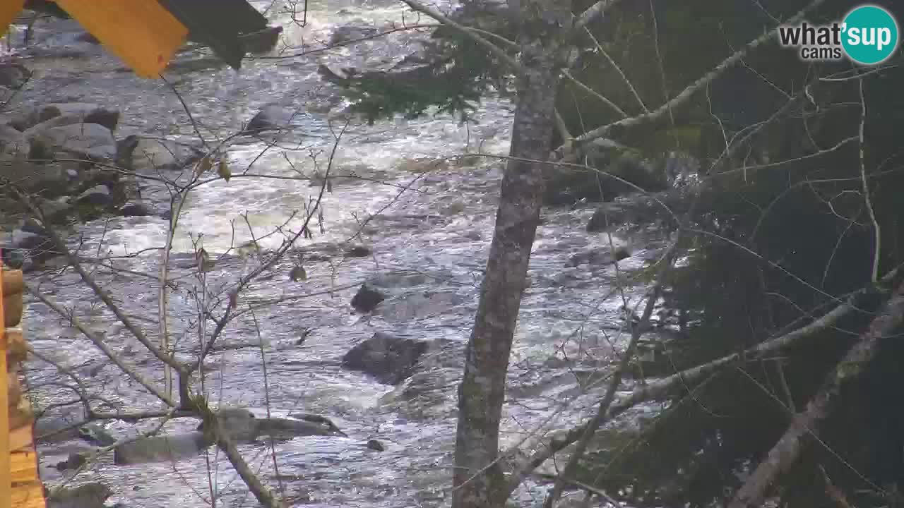 Webcam Lukanja – Water Village | Pohorje Houses