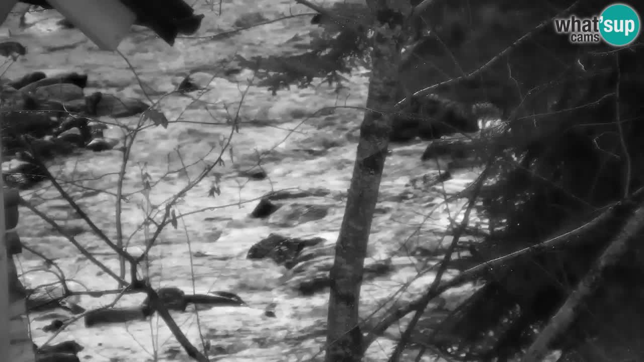 Webcam Lukanja – Water Village | Pohorje Houses