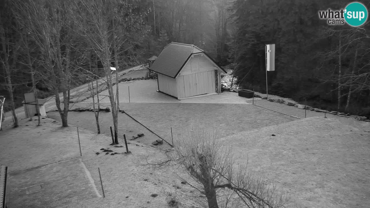 Spletna kamera Lukanja – Water Village | Pohorje Houses