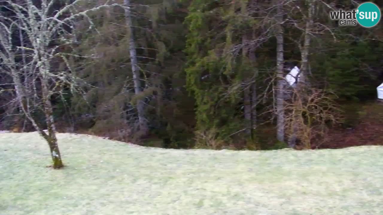 Webcam Lukanja – Water Village | Pohorje Houses