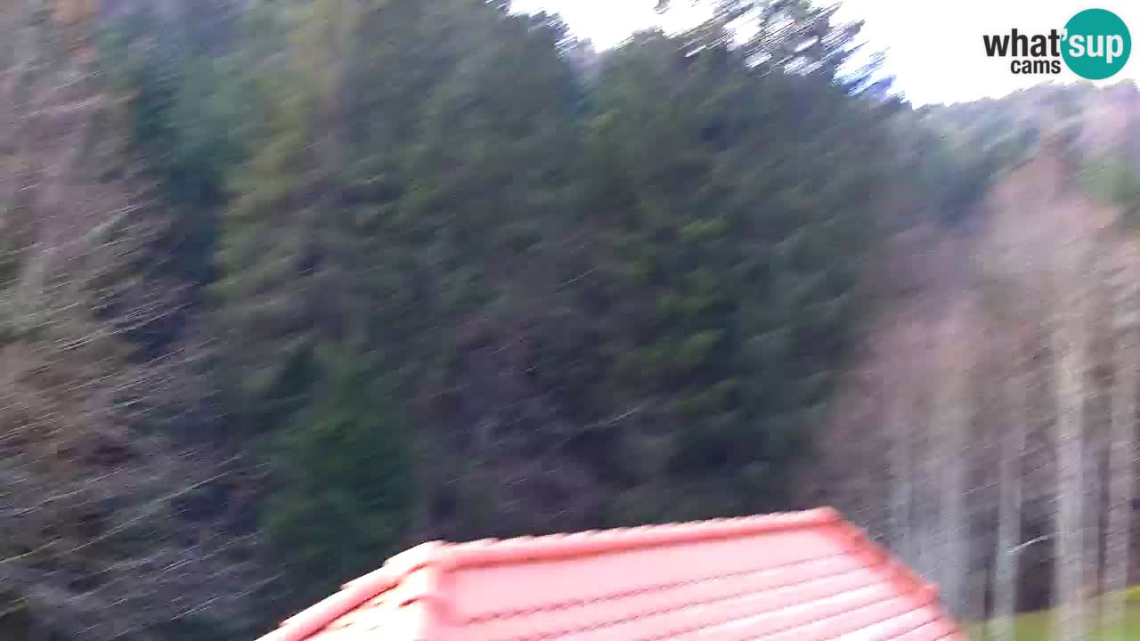 Webcam Lukanja – Water Village | Pohorje Houses