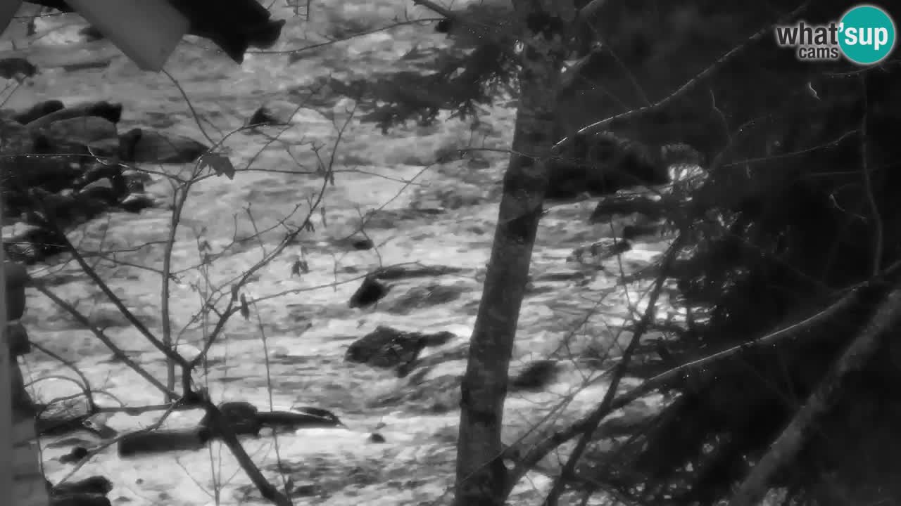 Webcam Lukanja – Pohorje houses a Water village