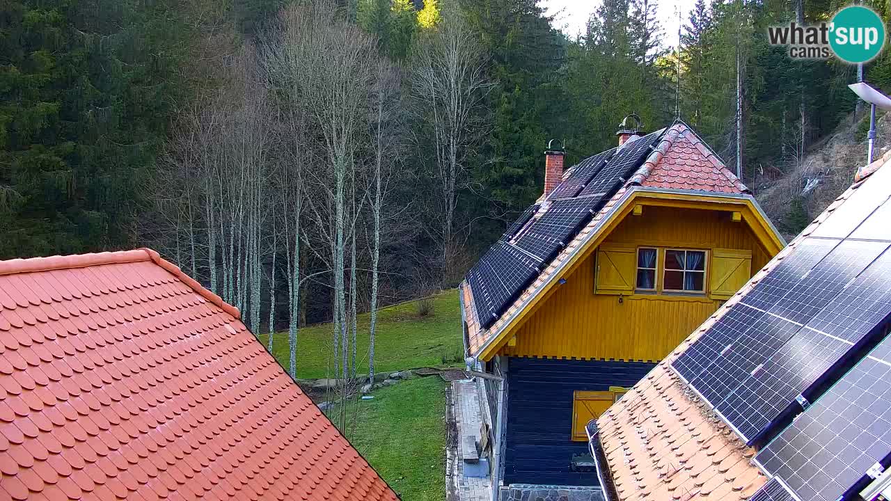 Webcam Lukanja – Pohorje houses a Water village