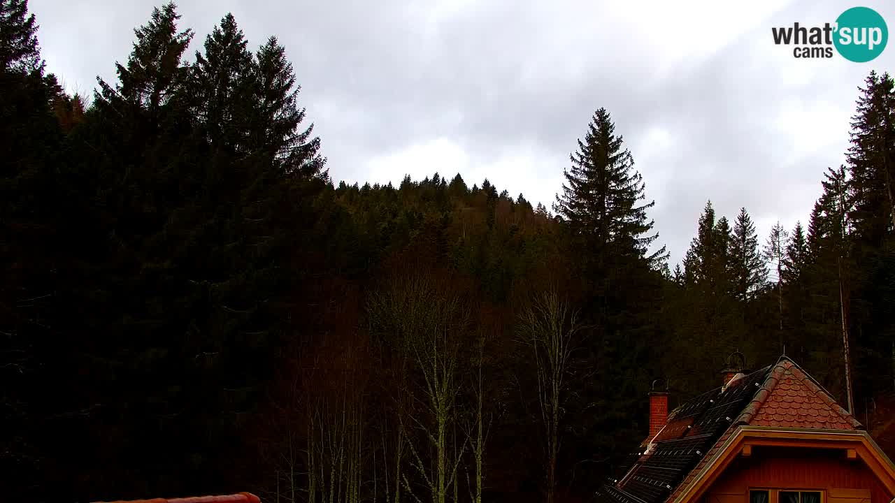 Spletna kamera Lukanja – Water Village | Pohorje Houses