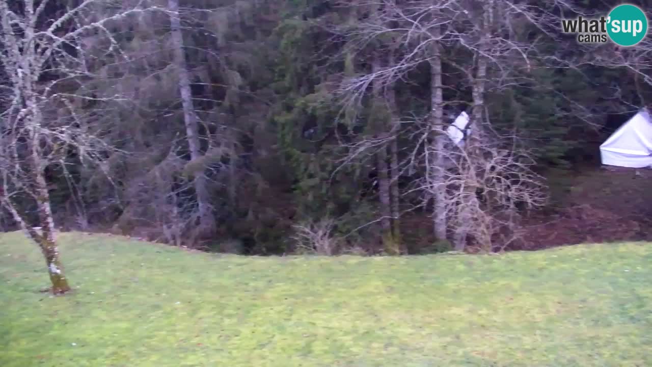 Webcam Lukanja – Water Village | Pohorje Houses