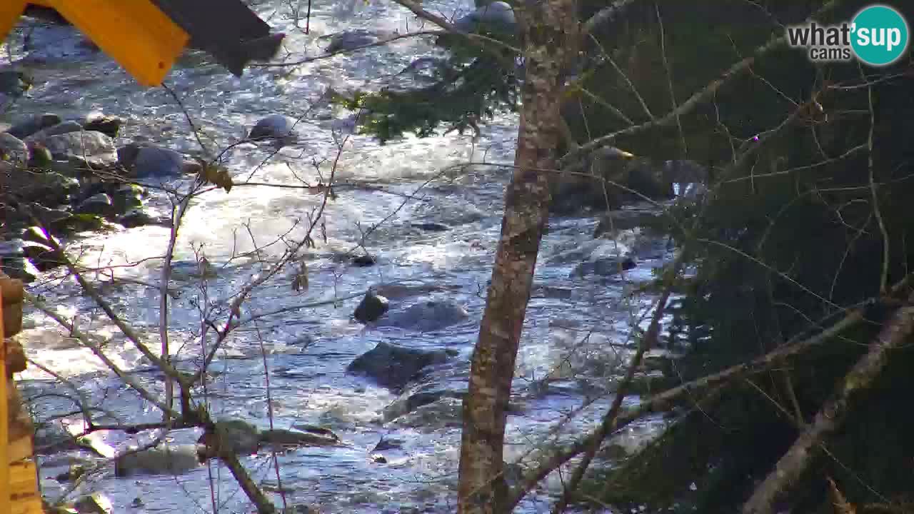 Webcam Lukanja – Water Village | Pohorje Houses
