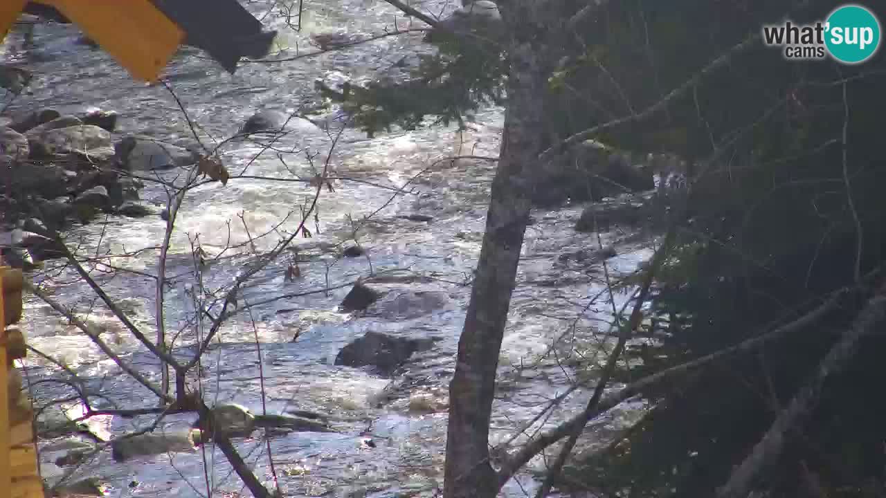 Web kamera Lukanja – Water Village | Pohorje Houses