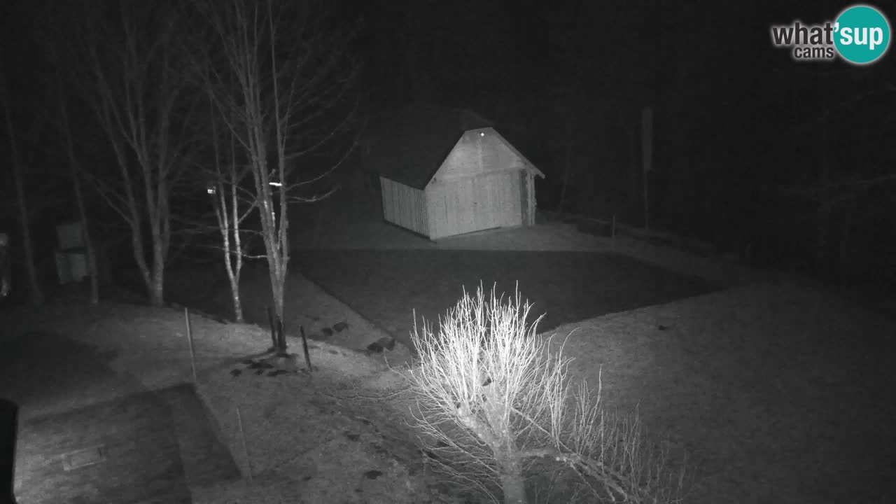 Spletna kamera Lukanja – Water Village | Pohorje Houses