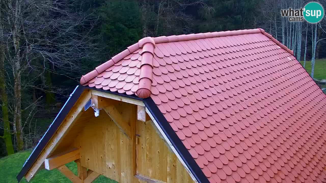 Webcam Lukanja – Pohorje houses a Water village