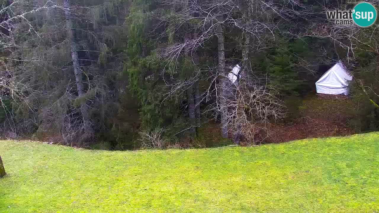 Webcam Lukanja – Pohorje houses a Water village