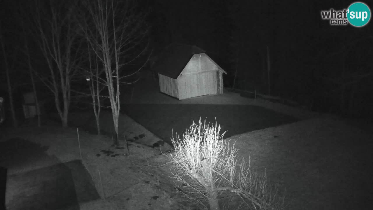 Webcam Lukanja – Pohorje houses a Water village