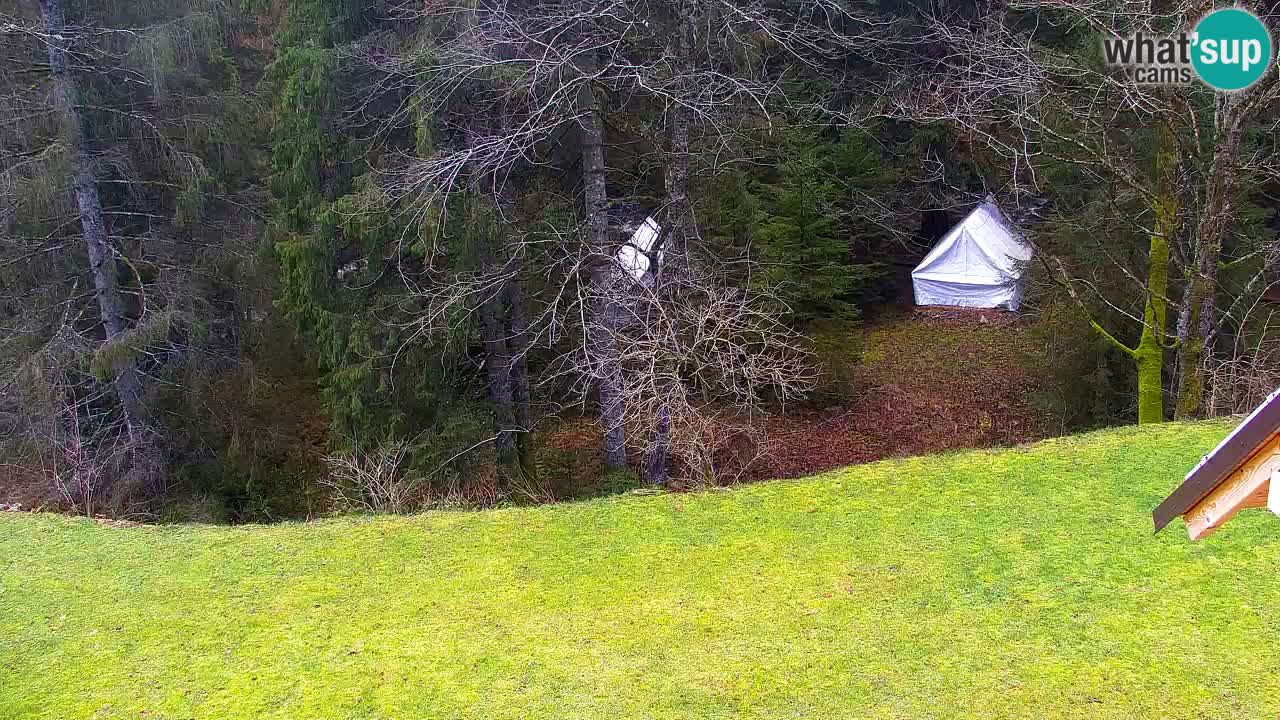 Webcam Lukanja – Pohorje houses a Water village