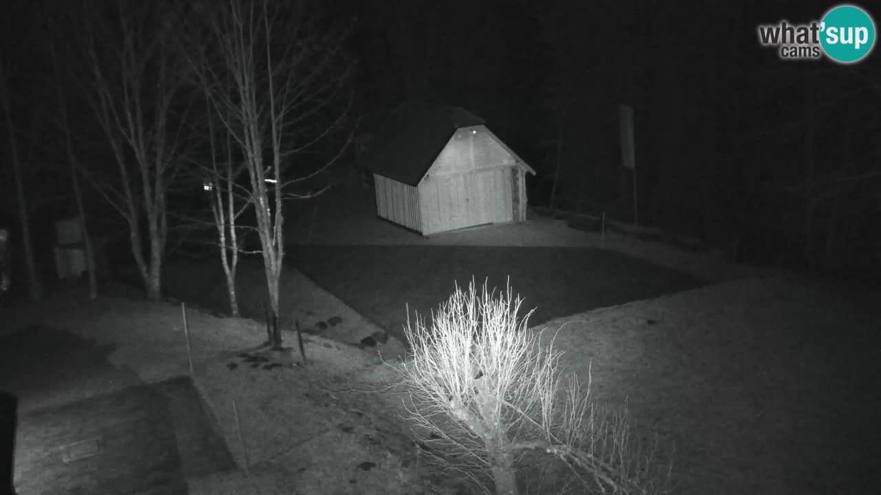 Webcam Lukanja – Pohorje houses a Water village