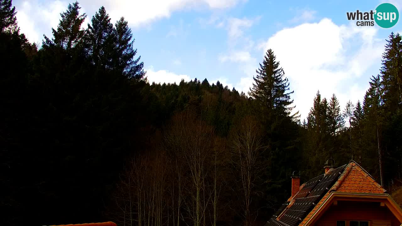 Web kamera Lukanja – Water Village | Pohorje Houses