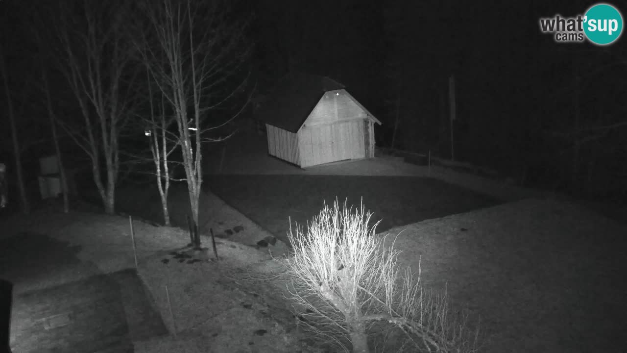 Webcam Lukanja – Pohorje houses a Water village