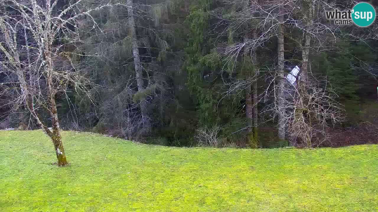 Spletna kamera Lukanja – Water Village | Pohorje Houses