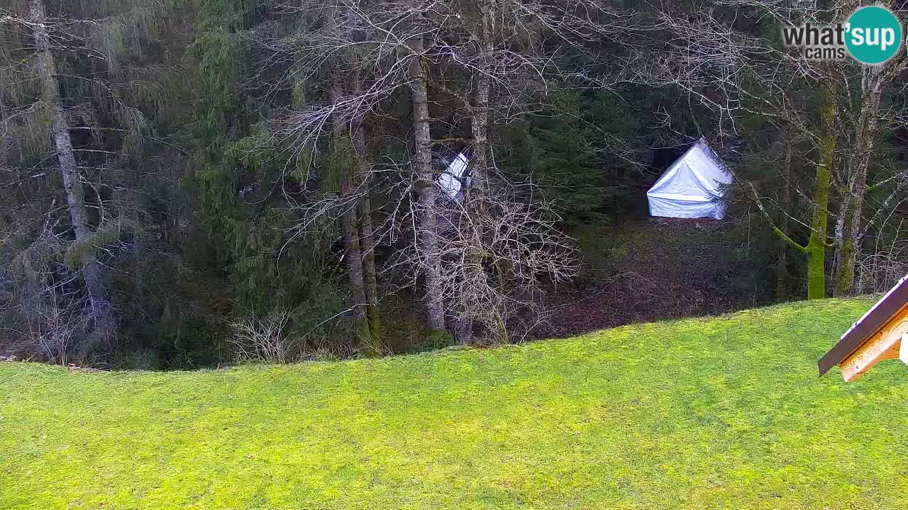 Web kamera Lukanja – Water Village | Pohorje Houses