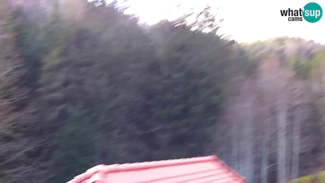 Webcam Lukanja – Pohorje houses a Water village