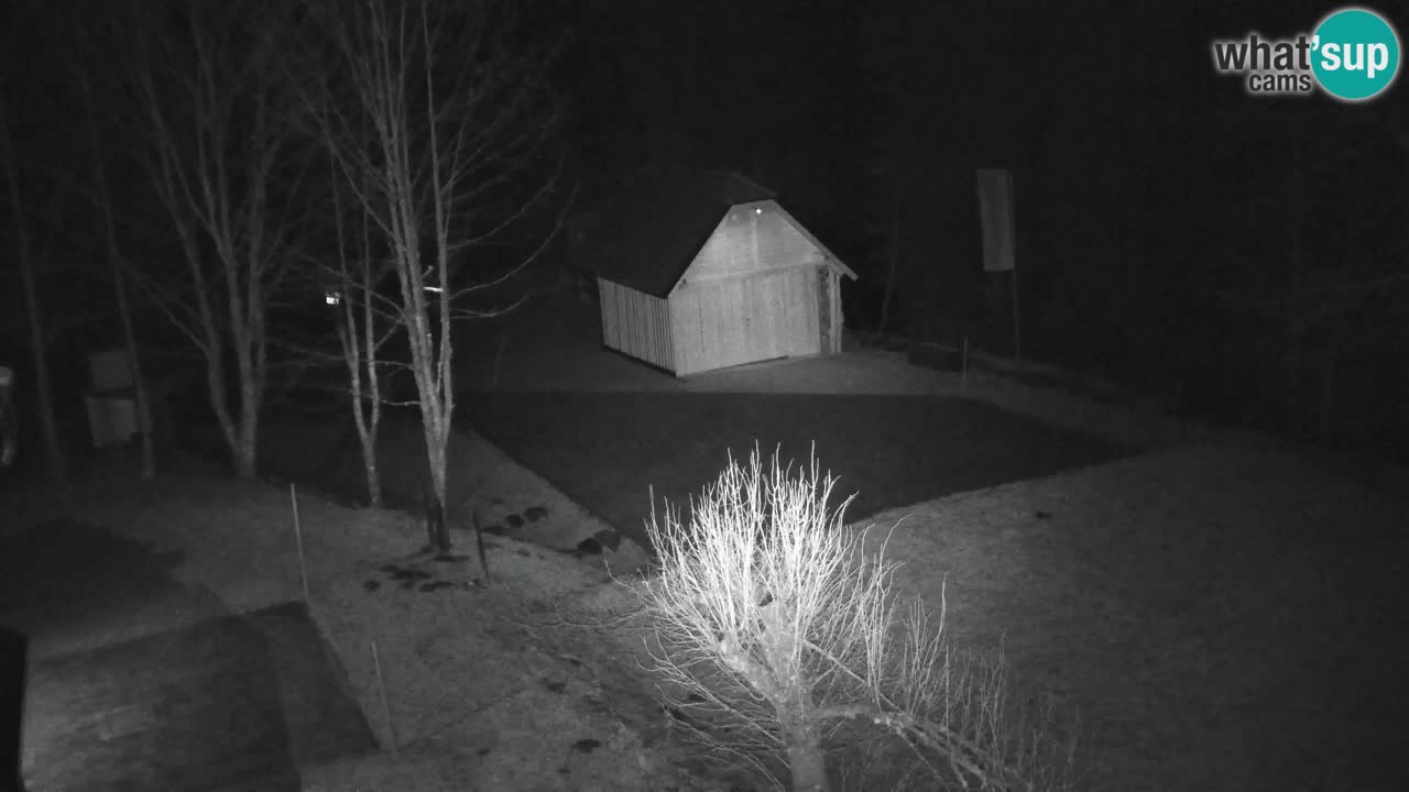 Webcam Lukanja – Water Village | Pohorje Houses