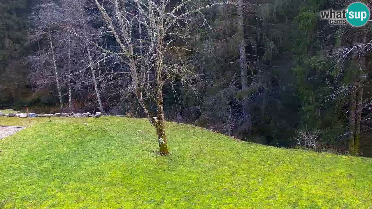 Webcam Lukanja – Pohorje houses a Water village