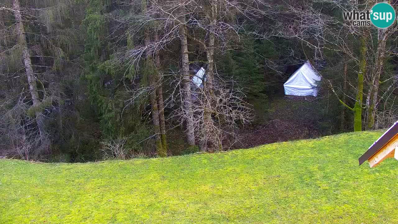 Webcam Lukanja – Pohorje houses a Water village