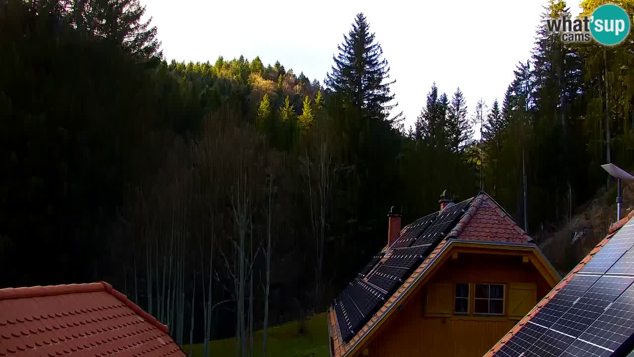 Webcam Lukanja – Water Village | Pohorje Houses