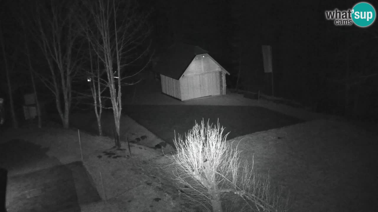 Webcam Lukanja – Water Village | Pohorje Houses