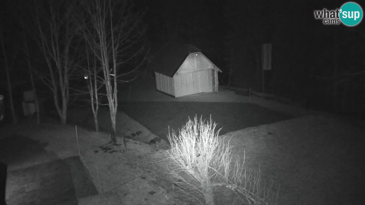 Webcam Lukanja – Pohorje houses a Water village