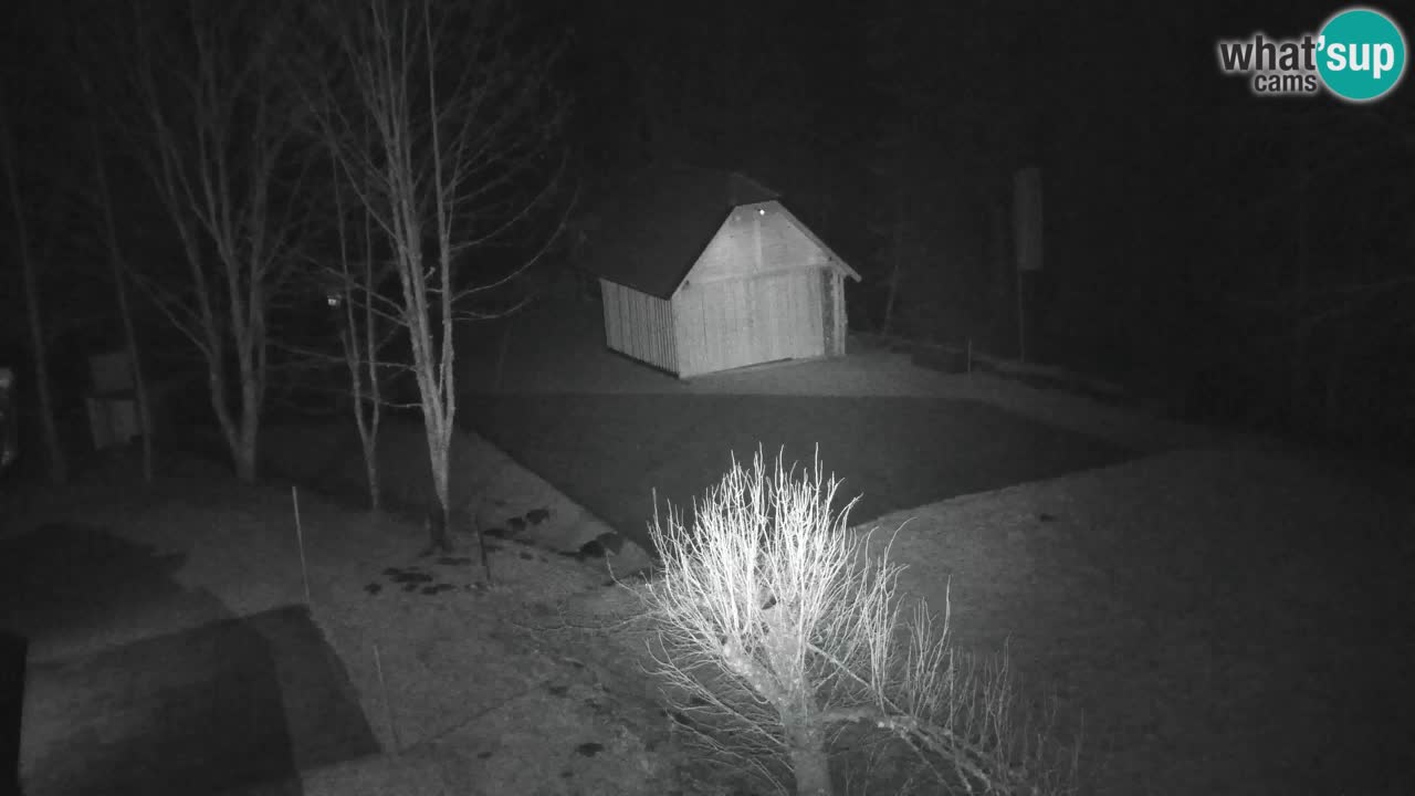 Webcam Lukanja – Water Village | Pohorje Houses