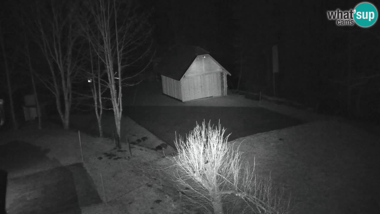 Webcam Lukanja – Pohorje houses a Water village