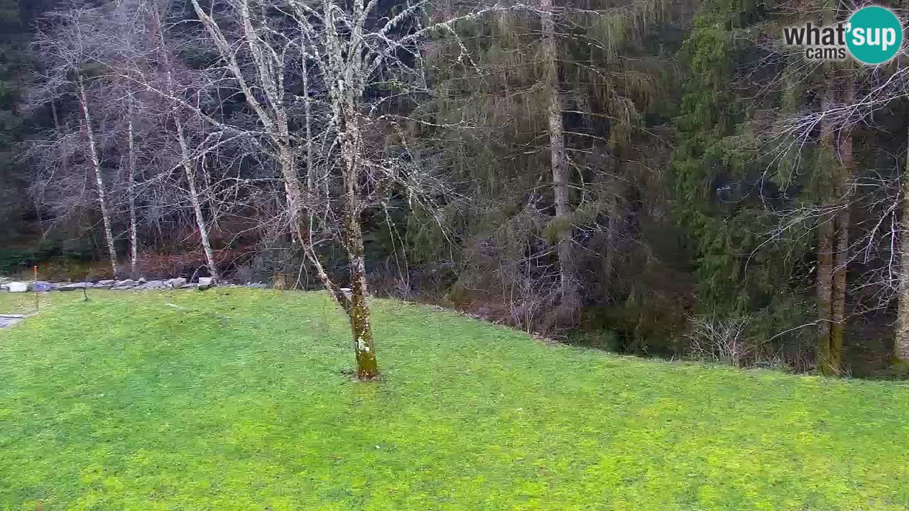 Spletna kamera Lukanja – Water Village | Pohorje Houses