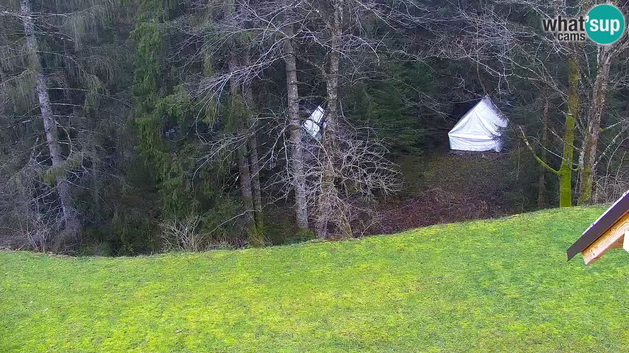 Webcam Lukanja – Water Village | Pohorje Houses