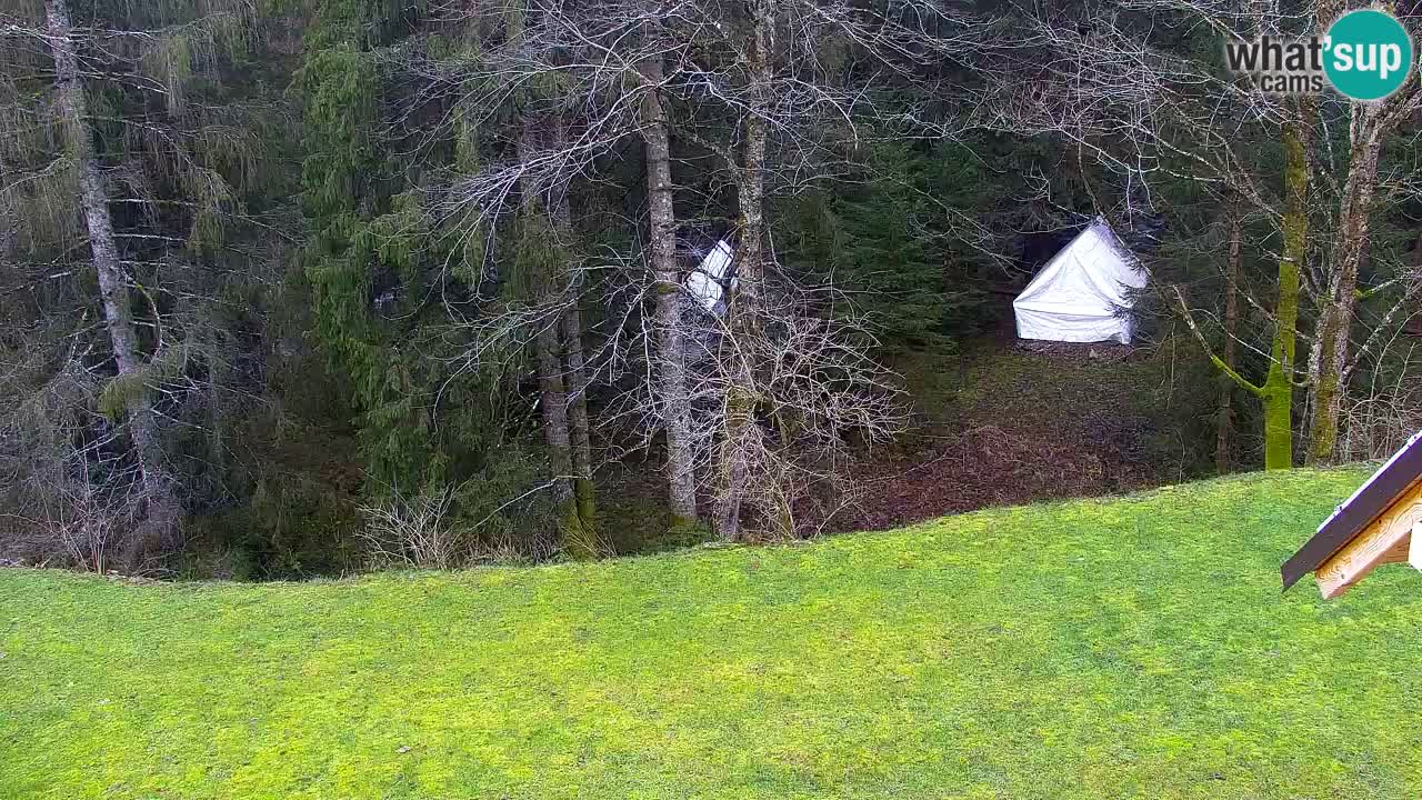 Webcam Lukanja – Water Village | Pohorje Houses