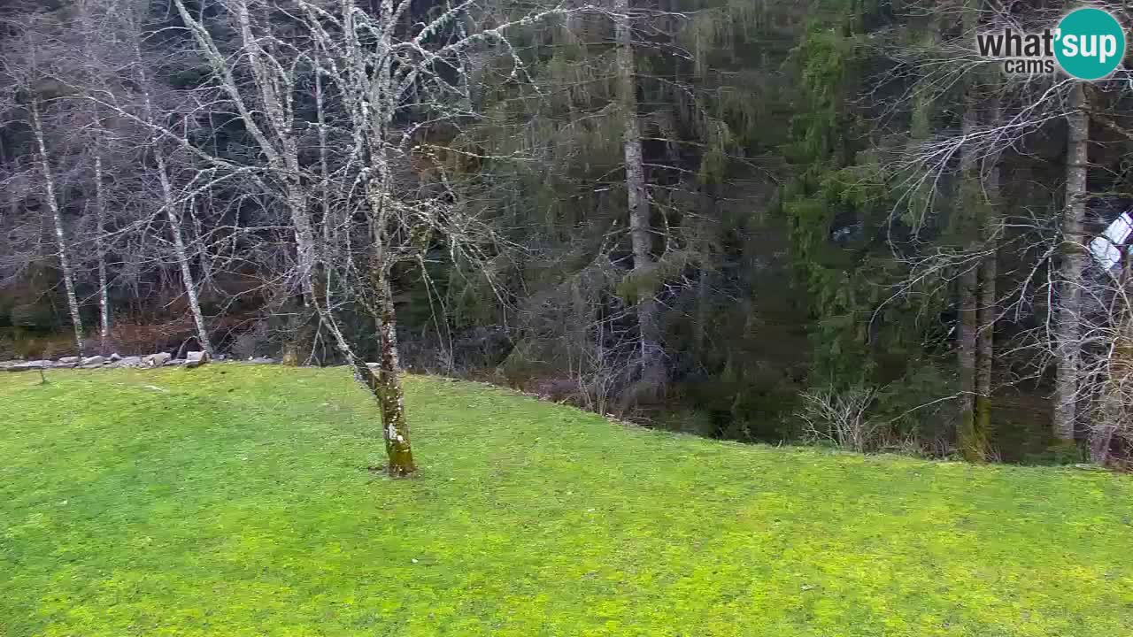 Webcam Lukanja – Water Village | Pohorje Houses