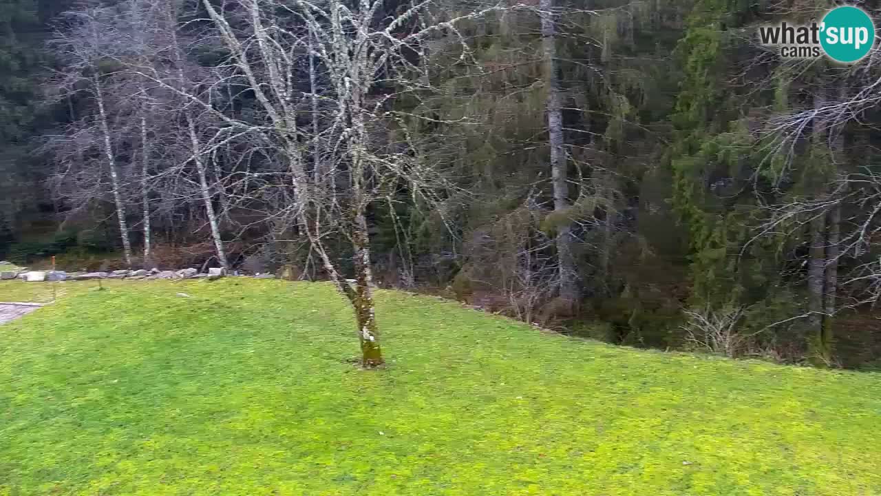 Webcam Lukanja – Water Village | Pohorje Houses